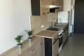 Apartamento 1 habitación 25 m² en Danzig, Polonia