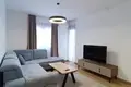 Apartamento 1 habitacion 452 m² Montenegro, Montenegro