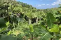 3 bedroom house 244 m² West End, Honduras
