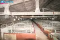 Коммерческое помещение 30 793 м² Вилкавишкис, Литва