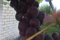 Дом 39 м² Руденский сельский Совет, Беларусь