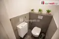 Apartamento 201 m² České Budějovice, República Checa