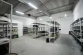Manufacture 5 rooms 3 983 m² in Krychau, Belarus