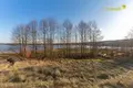 Maison 123 m² Zaleski selski Savet, Bélarus
