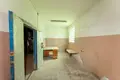 Производство 753 м² Дещенский сельский Совет, Беларусь