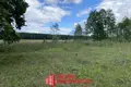Maison 15 m² Parecki sielski Saviet, Bélarus