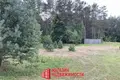 Maison 15 m² Parecki sielski Saviet, Bélarus