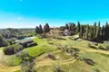 Commercial property 3 969 m² in San Gimignano, Italy