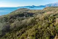 Land 9 136 m² Montenegro, Montenegro