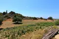 Land 1 room 1 700 m² Municipality of Kalamafka, Greece