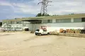 Commercial property 1 770 m² in Municipal unit of Efkarpia, Greece