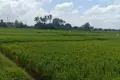 Villa de tres dormitorios 314 m² Cemagi, Indonesia