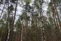 Дом 53 м² Рубежевичский сельский Совет, Беларусь