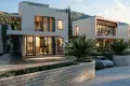 Willa 4 pokoi 224 m² Denovici, Czarnogóra