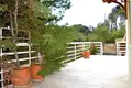 Cottage 3 bedrooms 225 m² Rafina, Greece