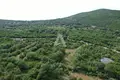 Land 1 400 m² Zagora, Montenegro