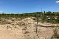 Land  Orihuela, Spain