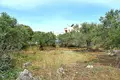 Land 1 room 813 m² Plaka, Greece