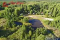 Gewerbefläche 1 000 m² Naracki sielski Saviet, Weißrussland