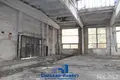 Warehouse 29 515 m² in Liebiedzieuski sielski Saviet, Belarus