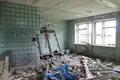 Коммерческое помещение 2 088 м² Лебедево, Беларусь