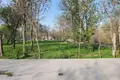 Tijorat 10 000 m² Samarqand