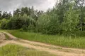 House 40 m² Viasiejski sielski Saviet, Belarus