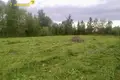 Land  Dziamidavicki sielski Saviet, Belarus