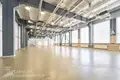 Gewerbefläche 10 zimmer 803 m² in Minsk, Belarus