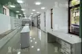Commercial property 203 m² in Yerevan, Armenia
