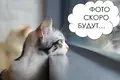 Дом 58 м² Хотюховский сельский Совет, Беларусь