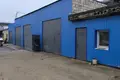 Commercial property 180 m² in Mahilyow, Belarus