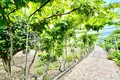 Mieszkanie 4 pokoi 352 m² Guia de Isora, Hiszpania