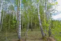 Земельные участки  Логойский сельский Совет, Беларусь