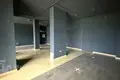 Propiedad comercial 1 habitación 73 m² en Minsk, Belarús