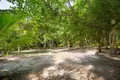 2 bedroom house  Calabash Bight, Honduras