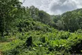 Land  Karon, Thailand
