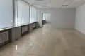 Магазин 283 м² в Плещеницах, Беларусь