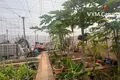 Mieszkanie 7 pokojów 95 m² Garachico, Hiszpania