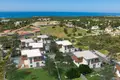 4 bedroom Villa 350 m² Agios Epiktitos, Northern Cyprus