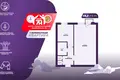 1 room apartment 29 m² Salihorsk, Belarus