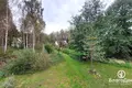 Haus 64 m² Rubazevicki selski Savet, Belarus