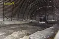 Gewerbefläche 773 m² Krasnaje, Belarus