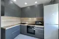 1 room apartment 33 m² Minsk, Belarus