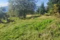 Land  Herceg Novi, Montenegro