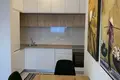 Apartamento 1 habitacion 502 m² Montenegro, Montenegro