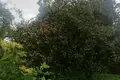 Дом 44 м² Крупицкий сельский Совет, Беларусь