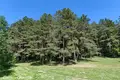 Дом 288 м² Беларучский сельский Совет, Беларусь