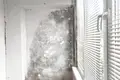 Appartement 2 chambres 54 m² Minsk, Bélarus