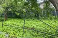 Haus 35 m² Zdanovicki sielski Saviet, Belarus